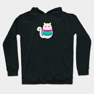 Poly Pride Cat Hoodie